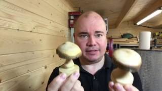 10 Woodturning mushrooms  Toadstools [upl. by Airot]