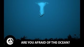 Thalassophobia Explained [upl. by Rafaellle484]