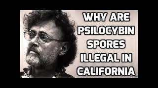 Terence McKenna  Why Are Psilocybe Spores Illegal in California [upl. by Marlyn501]