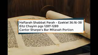 Haftarah Shabbat Parah with Cantor Ben Sharpe [upl. by Tecil]