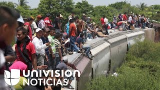 Inmigrantes ven como su sueño americano se convierte en pesadilla durante su paso por México [upl. by Hpeseoj]