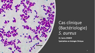 Cas clinique  Staphylococcus aureus [upl. by Behl]