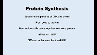 Protein Synthesis Review with DNA abbreviated [upl. by Ynor]