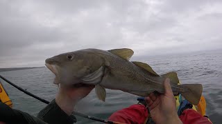 Arbroath cod fishing [upl. by Atalie824]