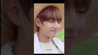 My tomato 🐻😍 is eating tomatoes 🍅 🍅 bts v thv kimtaehyung taetae tatamic shorts shortsvideo [upl. by Geneva565]