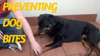 Dog Trainer Gets Bitten To Demonstrate Dog Warning Signs And Bite Inhibition [upl. by Brouwer117]