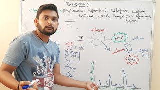 PyrosequencingDNA Sequencingin Hindi [upl. by Itsirhc760]