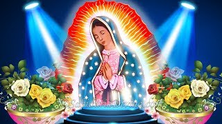 LA VIRGEN GUADALUPANA ES LA MAS HERMOSA Padre Moisés Lárraga [upl. by Ylrebmyk623]