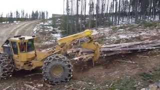 tigercat skidder 002 [upl. by Jarietta286]