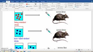 Unit 121 BIOL 101 [upl. by Nnovahs]