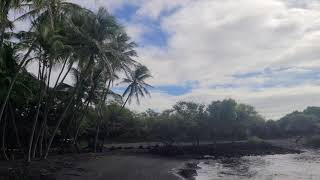 Punaluu Black Sand Beach  Hawaii [upl. by Ekal]