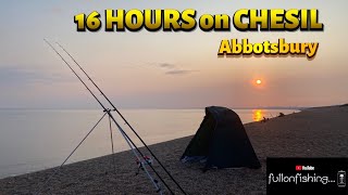 Sea Fishing CHESIL BEACH ABBOTSBURY for 16 hours I need some SPECIES UK Shore Angling 2023 [upl. by Ginevra]