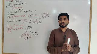 SP3 hybridization example AmmoniaCh6Chemical bonding First year chemistry [upl. by Anayeek]