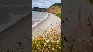 Jurassic Coast Beach View from Salcombe Hill Cliff Sidmouth England devon shorts cliff uk [upl. by Karlow365]