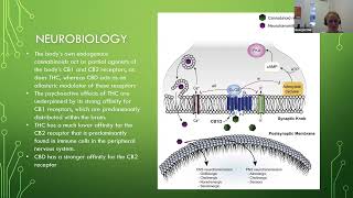 Clinical management of cannabis withdrawal [upl. by Cirek399]