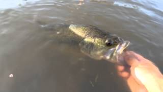 Bass fishing at Lake Overholser in Oklahoma City [upl. by Nyleahcim911]