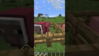 Name tags in Minecraft minecraft [upl. by Nivi429]