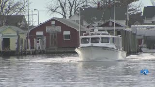 Tangier Island’s shrinking landscape sparks action [upl. by Terr306]