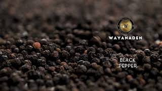 Organic Black Pepper  TGSEB Grade Black Pepper  Tellicherry Pepper  Kerala Pepper  WAYANADEN [upl. by Kaitlynn]