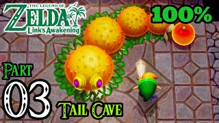 Zelda Links Awakening Walkthrough 100 Switch  Part 3  Tail Cave  Level 1  Moldorm Boss [upl. by Jp47]