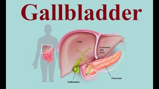 Gallbladder structure and functions  2024 [upl. by Eiffe]