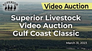 Superior Livestock Video Auction Gulf Coast Classic Day 2 [upl. by Sension]