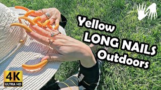 Yellow LONG NAILS  Outdoors [upl. by Zanze800]