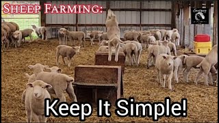 Sheep Farming How To Be More Profitable With Sheep  Keep It Simple [upl. by Sexton364]