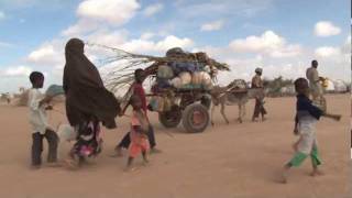 Kenya  Le camp de Dadaab continue de grossir [upl. by Prospero]