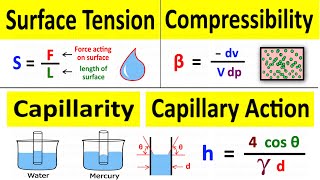 Capillary Rise Capillary Action of Water amp Mercury Surface Tension Compressibility  Shubham Kola [upl. by Rutherford]