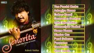 Rajhesh Vaidhya Veena  A Tribute To Isaignani Ilayaraja  Instrumental  Tamil Film Super hit Songs [upl. by Bencion]