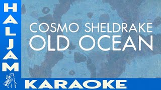 Cosmo Sheldrake  Old Ocean karaoke [upl. by Enelram393]