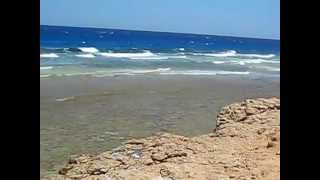 красное море в районе DESSOLE PYRAMISA SAHL HASHEESH BEACH RESORT 5 [upl. by Jase]