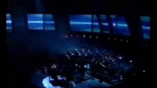 Vanessa Carlton  A Thousand Miles Live 2003 Grammys [upl. by Ruhtracam]