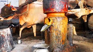 Traditional Mustard Oil Making Process [upl. by Llacam]