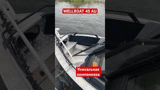 Компоновка ТОП wellboat 45 Удачный конфиг Рыбалка и отдых shorts boat обзоркатера [upl. by Philipines]