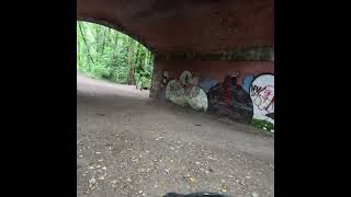 Kingsmead Bridge A32 over Meon Valley Line  Disused Railway Line [upl. by Abagael974]