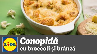 Conopida cu broccoli si branza • reteta Bucataria Lidl [upl. by Gaylor]