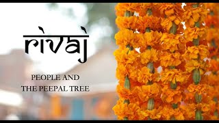 Rivaj  Documentary  People and the peepal tree  BY Abhijeet Pandey 2017 Batch [upl. by Calvano]