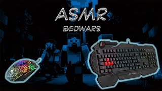 Smooth keyboardampmouse sounds\minecraft ASMR [upl. by Meelas111]