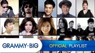 รวมเพลงฮิตฟังสบายๆ  MP3 Hits Playlist Vol4 GRAMMY BIG [upl. by Miehar]