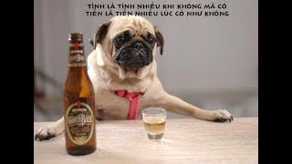 Thánh Lồng Tiếng  Tâm sự khi Lu bị xỉn sẽ NTN [upl. by Itsyrc877]