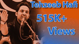 Tehzeeb Hafi  Koi To Ho Jo Mere Bhooke Rehne Par Naraz Ho  Poetry Status  Whatsapp Status [upl. by Sherfield2]