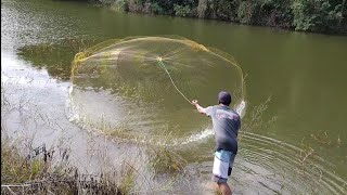 Pescaria de tarrafapescando tilápias selvagem com tarrafa para colocar no laguinho [upl. by Aicirt233]