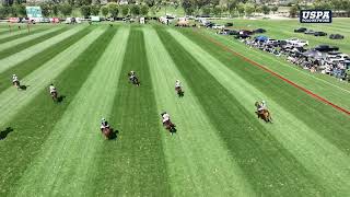 2024 Rossmore Cup Bush League vs Highwood [upl. by Mamoun]