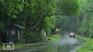 Raining on a Countryside Highway  Relaxing Rain Sounds for Sleep and Meditation amp Work  4K UHD [upl. by Ttebroc429]