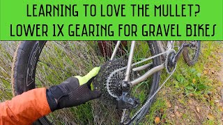 Living with a Mullet on my gravel bike The lower gearing give and take [upl. by Illa70]