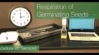 Respirometers vs Sensors Cellular Respiration Showdown [upl. by Oirretna]