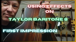 Taylor Baritone 8  A Compositional Inspiration [upl. by Uriiah]