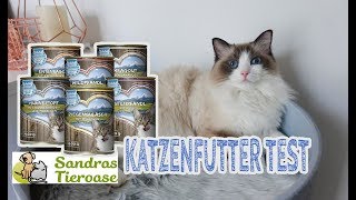 Katzenfutter SANDRAS SCHMANKERL im Test  Nassfutter für Katzen  JulisTierfuttertest 15 [upl. by Enegue]